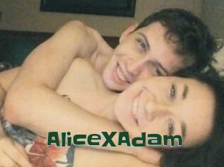 Alice_X_Adam