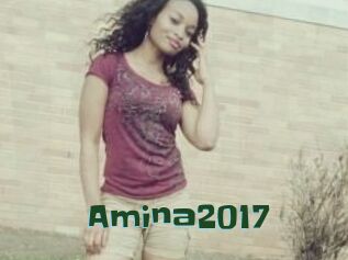 Amina2017