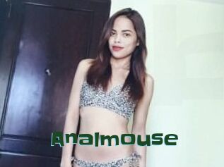 Anal_mouse