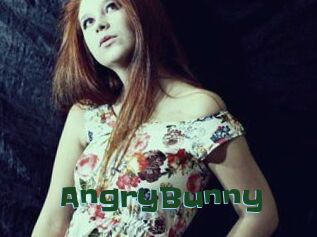 AngryBunny