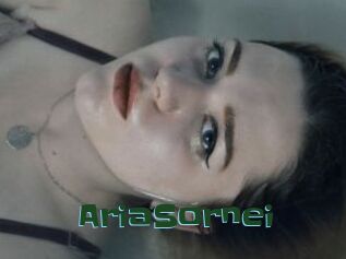AriaSornei