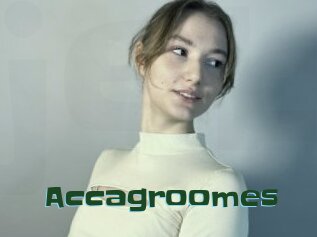 Accagroomes