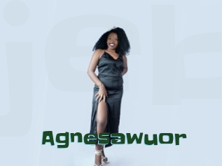 Agnesawuor