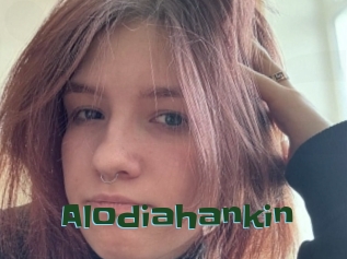 Alodiahankin