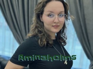 Aminaholms