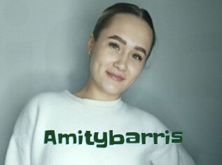 Amitybarris