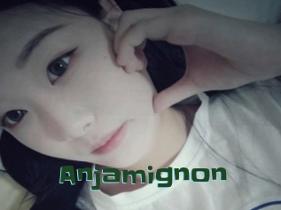 Anjamignon