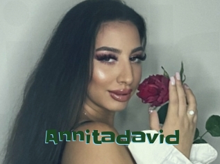 Annitadavid