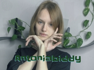 Antoniabiddy