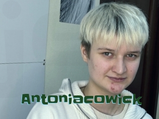 Antoniacowick