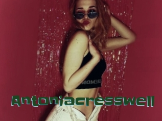 Antoniacresswell