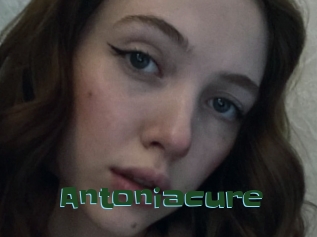 Antoniacure
