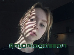 Antoniagosson