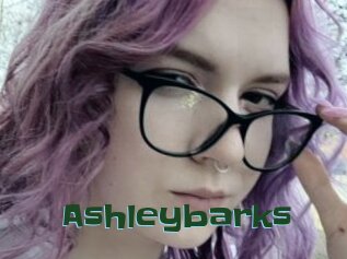 Ashleybarks