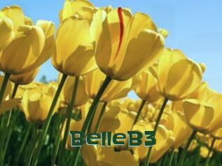 BelleB3