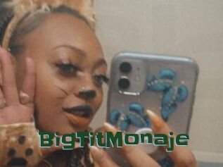 BigTitMonaje