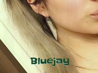 Blue_jay
