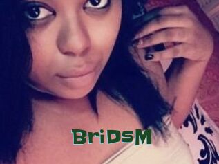 BriDsM
