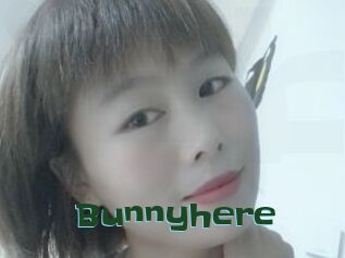 Bunnyhere