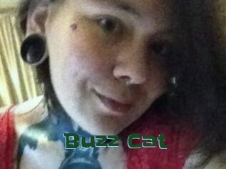 Buzz_Cat