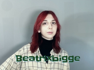 Beatrixbigge