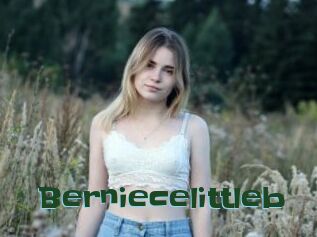 Berniecelittleb