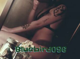 Bluebird096