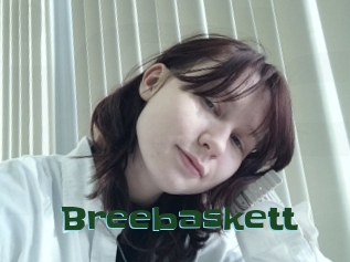 Breebaskett