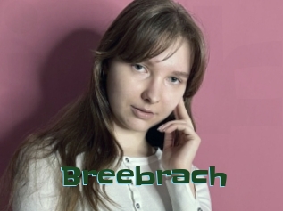 Breebrach