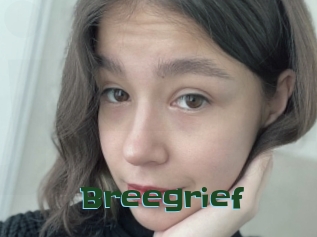 Breegrief