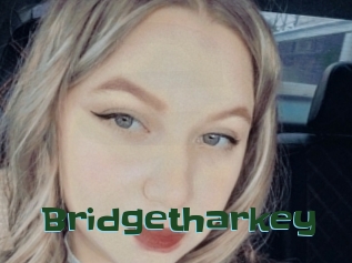 Bridgetharkey