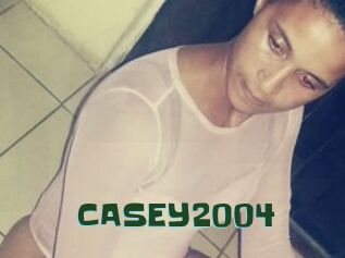CASEY2004