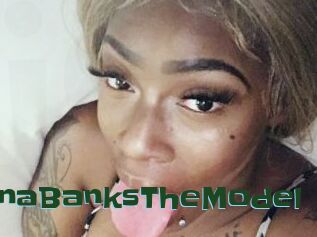 ChynaBanksTheModel