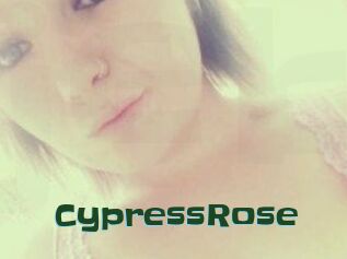 Cypress_Rose