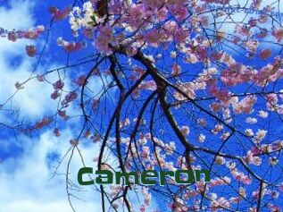 Cameron