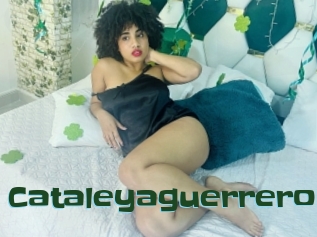 Cataleyaguerrero