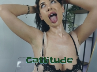 Cattitude