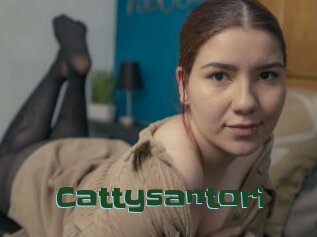 Cattysantori