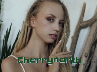 cherrynorth Jeune baise