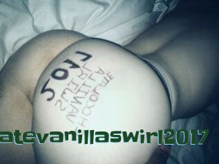 Chocolatevanillaswirl2017