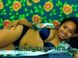 Cindybarnes