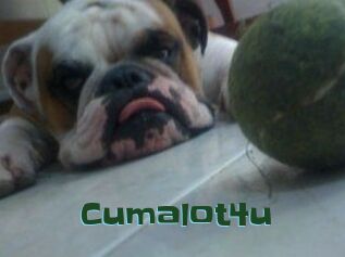 Cumalot4u