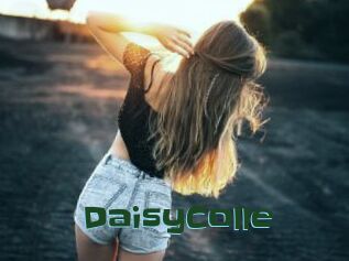 DaisyColle