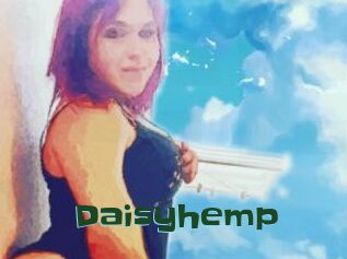 Daisy_hemp