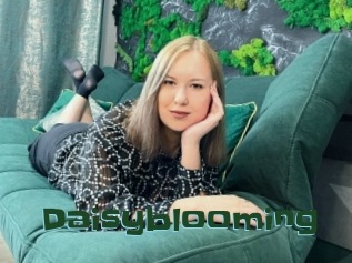 Daisyblooming