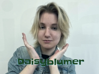 Daisyblumer
