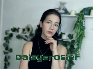Daisycrosier