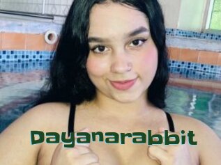 Dayanarabbit