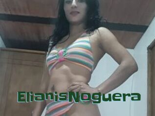 ElianisNoguera