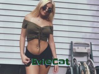EvieCat